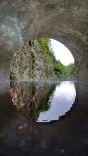 新品タグ付き！ランバンオンブルー刺繍パールカーディガン 38 - メルカリ