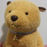 ころわんの画像