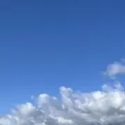 ひぃの画像