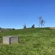 たかしの画像