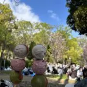 c.の画像