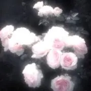 치킨の画像