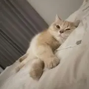 ♡の画像