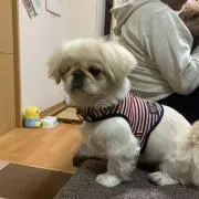 なっちの画像