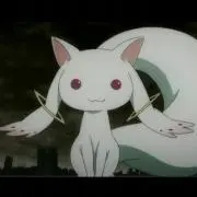 パトリシア1013の画像