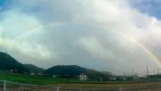 ぽんちゃんの画像