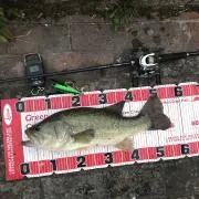 釣り良か（即購入大歓迎）の画像