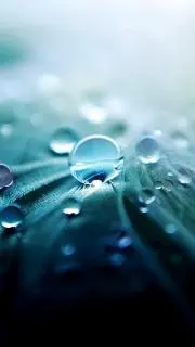 Suiren.。.:*✵の画像