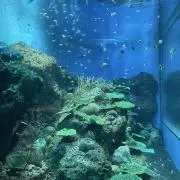 ちゃんりおの画像