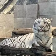 Image of k