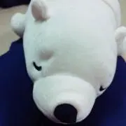 れんこんの画像