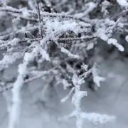くう