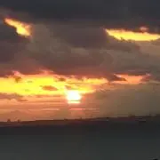 やすしう