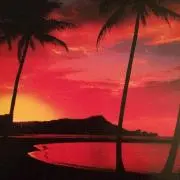 プルメリアの画像