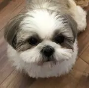 たけみちまるの画像