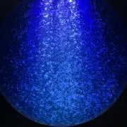まっちの画像