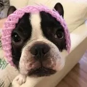 なおちゃんの画像