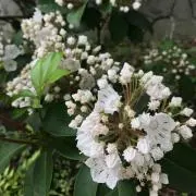 かおり☆プロフィール必読の画像