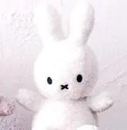 hmの画像