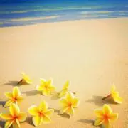 chiroの画像