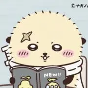 白羽の画像