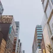 いくらの画像