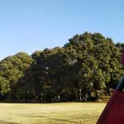 kikuronpの画像