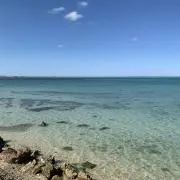 YNHの画像