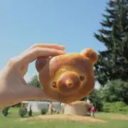 KiKiの画像