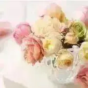 ayaの画像