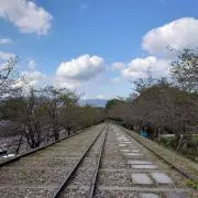 としの画像
