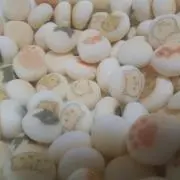 ぼーろ❀値下げ交渉お気軽にどうぞの画像