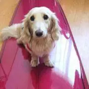 さっつん