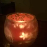 angoraの画像