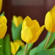 nagiの画像