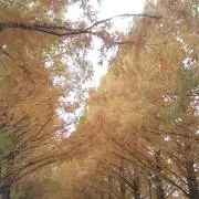 断捨離中！の画像