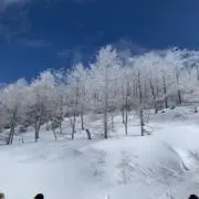 Rossignol SIN 7 【164】スキー アルパインビンディング付き - メルカリ