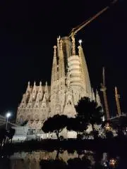 たかの画像