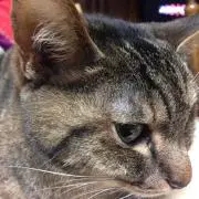 ディズニー好き☆