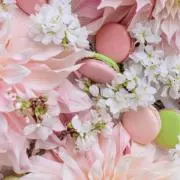 amuamuの画像