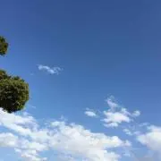 1N