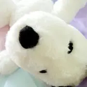 ♡MOKAmama♡の画像