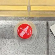 タケ