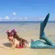 ぴょんの画像