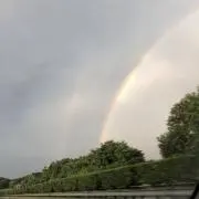 ダイ