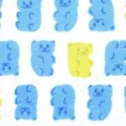 Bearの画像