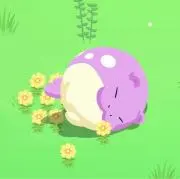 Aya30の画像