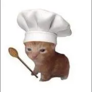 ねこいる/即購入◎値下げ◎の画像