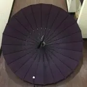sadaijin