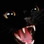 チキンソースの画像